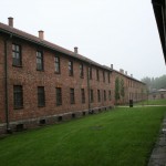 IMG_2375