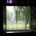 IMG_2383