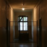 IMG_2437