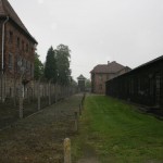 IMG_2439