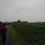 IMG_2471