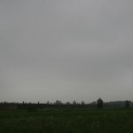 IMG_2475