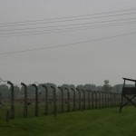 IMG_2478