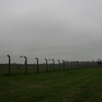 IMG_2479