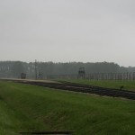 IMG_2481