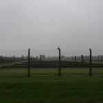 IMG_2494