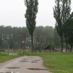 IMG_2503
