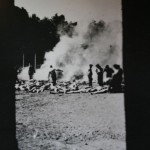 Studienfahrt_048